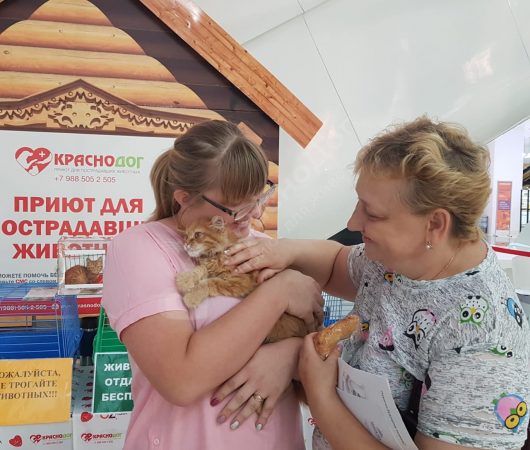 Подсолнух